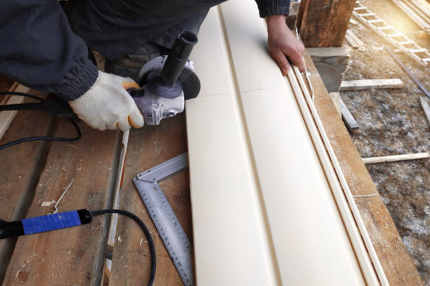 Professional Siding in Santa Teresa, NM